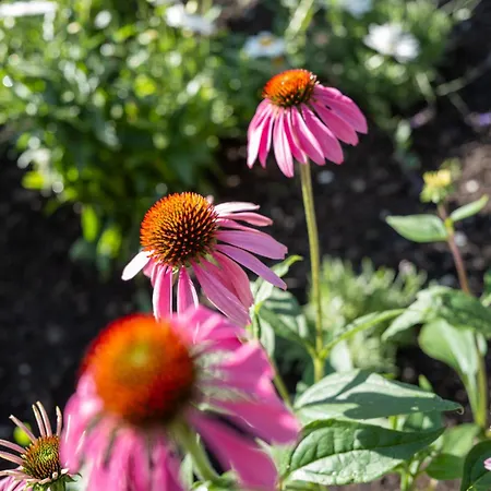 Alpstuga Hittli 1065 Tirol Sauna Garden Wifi Guest Card