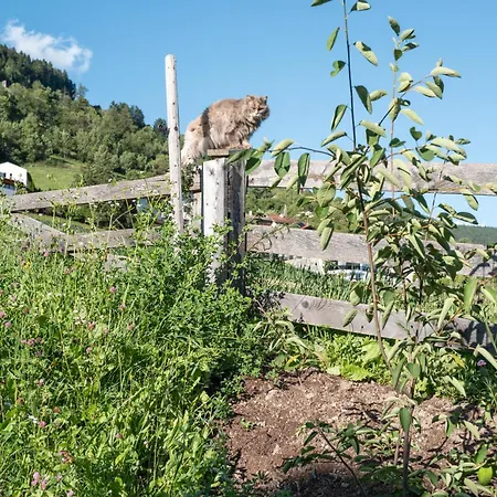 Hittli 1065 Tirol Sauna Garden Wifi Guest Card