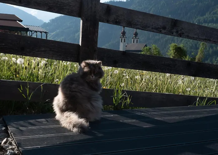 Chalet Hittli 1065 Tirol Sauna Garden Wifi Guest Card