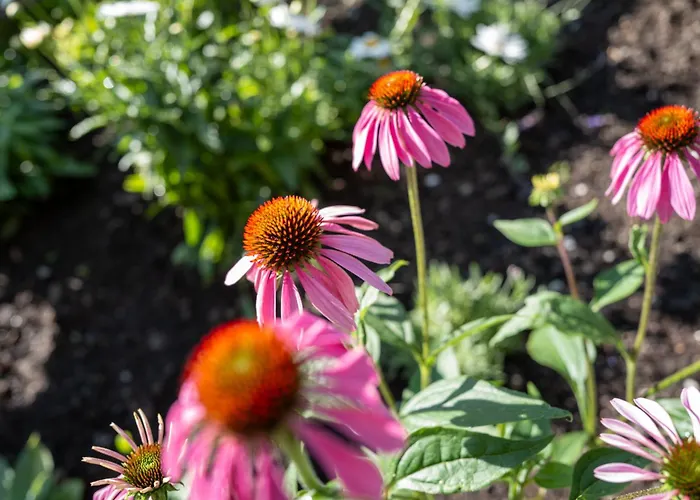 Chalet Hittli 1065 Tirol Sauna Garden Wifi Guest Card